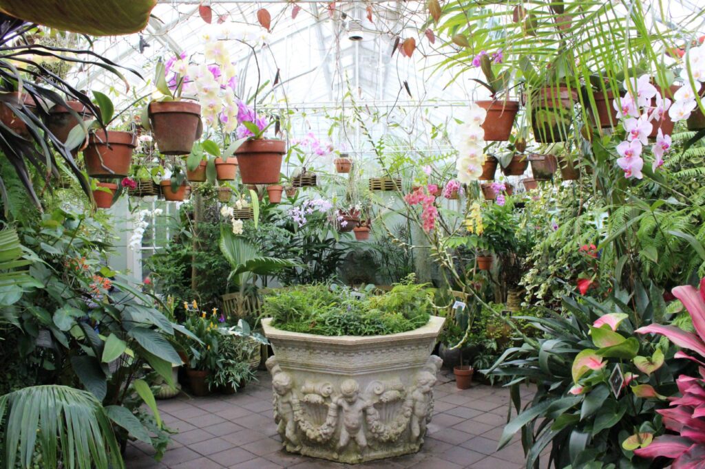 The Conservatory of Flowers